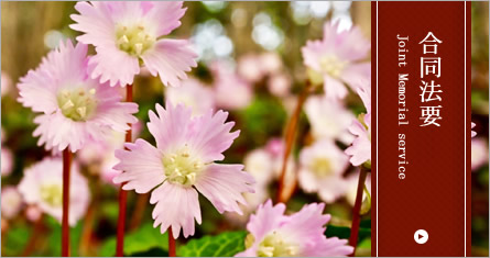 合同法要のページへ